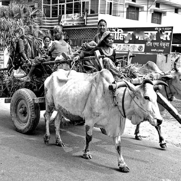 Woman driver